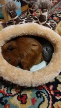 Soft Guinea Pig House Bed Cage for Hamster Mini Animal Mice Rat Nest Bed Hamster House