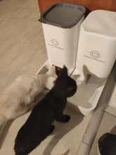 Pet-Bowl Pet-Autommatic Cats Water-Feeder/feeder-Device Small Lovefat for Fmedium