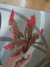 Aquarium-Accessories Decoration Materials Fish-Tank Artificial Green 20cm PVC Plants