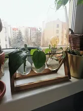 Flower-Pot Hanging-Pots Bonsai Planter Wood-Vase Terrarium-Table Glass Hydroponics-Plant