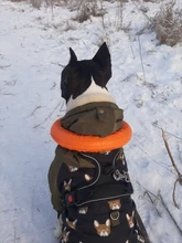 Vest Harness Pet-Dog No-Pull SUPREPET Nylon Adjustable for Large Medium