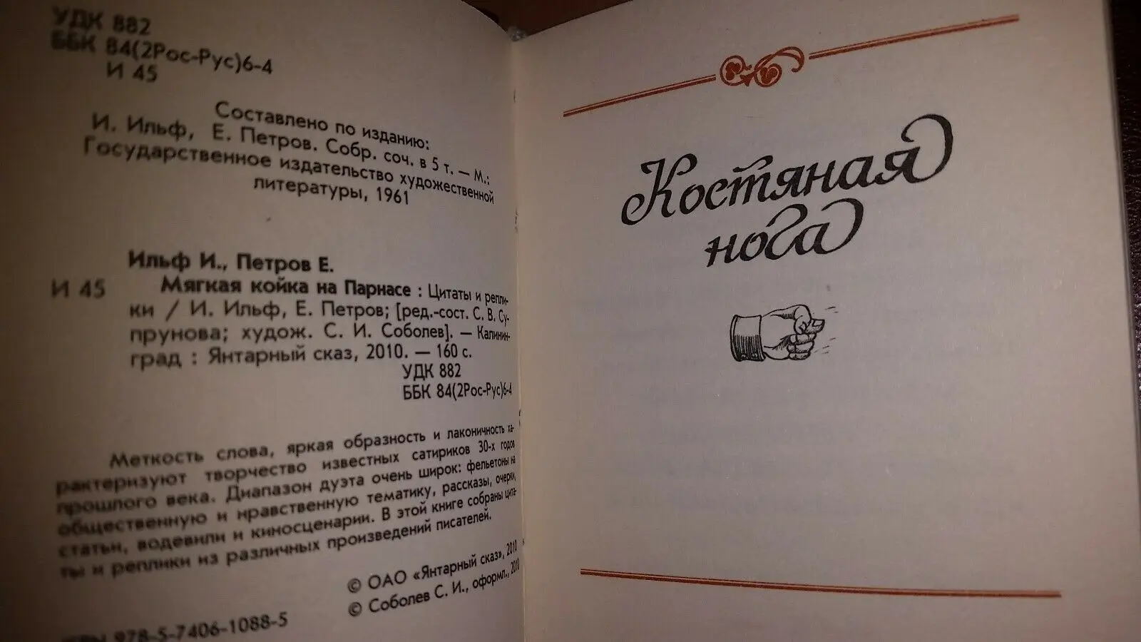Рисунок 4 - Современная коллекция 2010 года