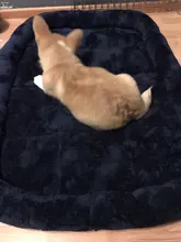 Dog-Beds Cage Lounger Pet-House-Cushion Dogs-Mat Bench-Medium Golden Retriever Large