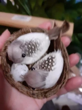 Cage-Set Nest Bird Gardening-Decoration Desktop-Ornament 9cm Simulation Photography-Props