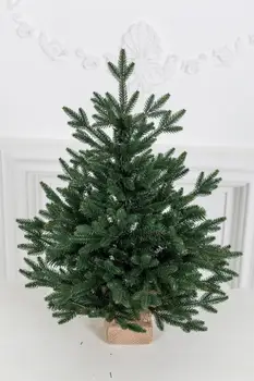 

Fir artificial TPK "new Christmas tree" Italian 0,75 m