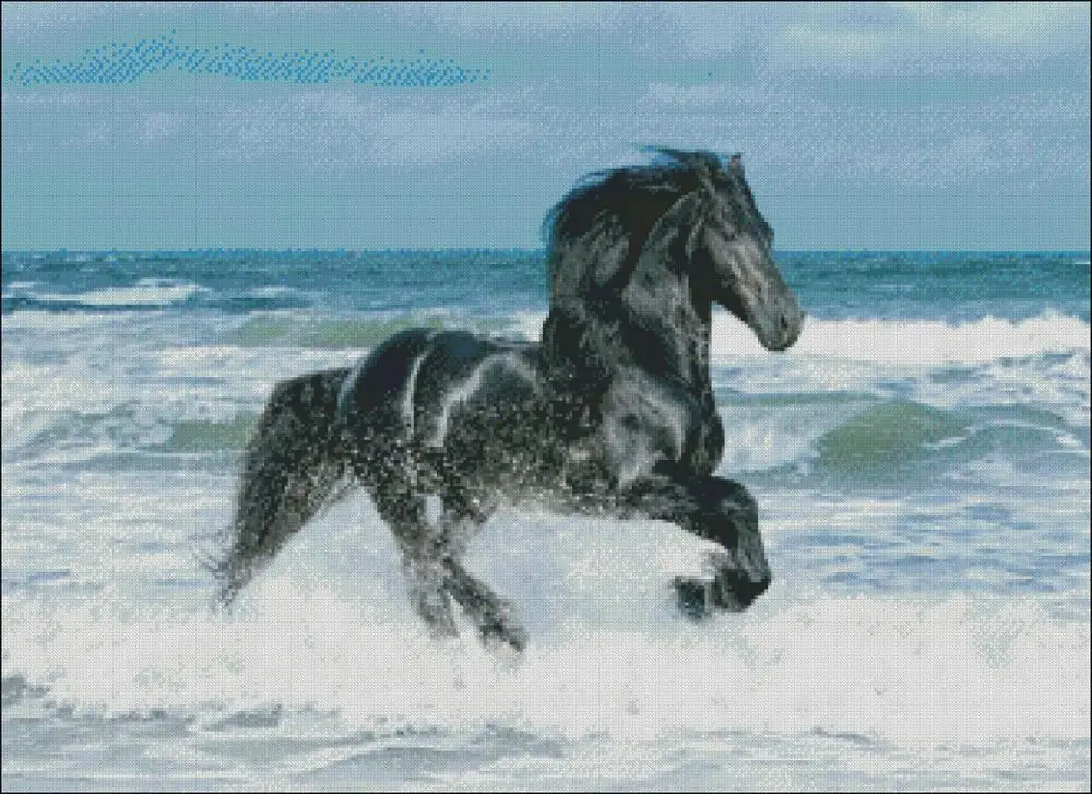 Набор крестиков черного коня-счетный-рукоделие ручной работы для вышивки 14 ct наборы крестиков DMC цвет