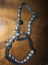 Nuevo lindo Collar campana para gatos Collar de perro Teddy Bomei perro de dibujos animados divertido huella collares lleva Cat accesorios Animal productos