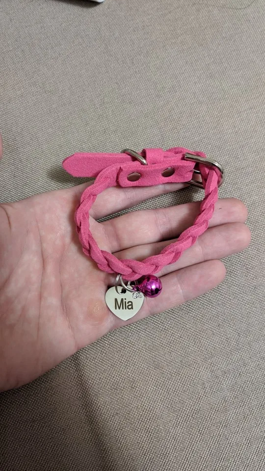 Waterproof Personalized Dog Collar with Dog ID Tag | Cute Personalized Dog photo review