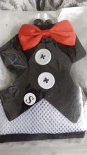 Elegante pajarita arnés tipo chaleco para perro con correa ajustable, Gato conjunto de Correa y arnés lindo arco nudo esmoquin para gatos gatito cachorro