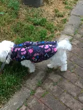 Ropa de abrigo para perros pequeños a prueba de viento invierno abrigo para perros ropa acolchada atuendo con chaleco ropa para Chihuahua y Yorkshire 35
