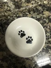 Hedgehog-Bowl Dish Snack-Plate Chinchilla Ceramics Small Cat Cute Cartoon Squirrel Saucer-Shape