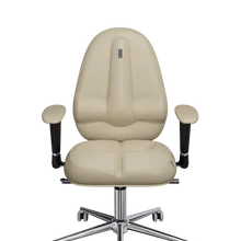 Office chair KULIK SYSTEM CLASSIC Computer chair Relief and comfort for the back 5 zones control spine