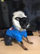 Jacket Jumpsuit Coat Puppy Waterproof Winter PET Warm PETASIA for Chihuahuas Small Large