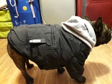 Jacket French Bulldog Dog Winter SUPREPET Coat Pet-Dog Dogs Large Cotton for Warm Perro