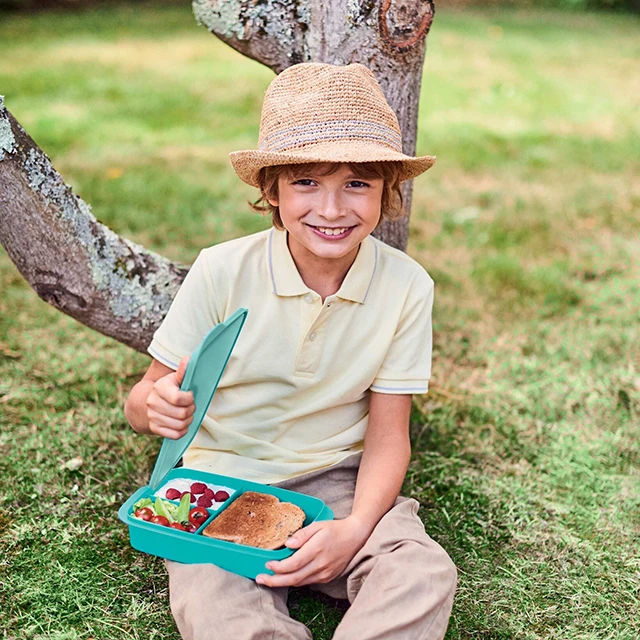 Tupperware-Boîte à lunch à compartiments pour enfants et adultes, boîte à  sandwich, boîte de rangement et de transport