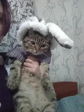 Cute Rabbit Design Dog Hoodie Winter Pet Dog Clothes For Dogs Coat Jacket Cotton Ropa