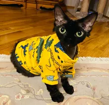 Estampado de conejo disfraz mascota gato para gatos de Kedi Katten Sudadera con capucha Primavera Verano gato traje de ropa de mascotas ropa para gato