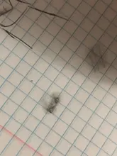 3/6 unids/set mezcla mancha de palo Tortillon boceto arte dibujo blanco carbón Sketcking herramienta de papel de arroz lápiz artista suministros