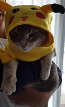 Disfraz de gato de dibujos animados, ropa de Cosplay, pijamas para el hogar, abrigo de perro con capucha