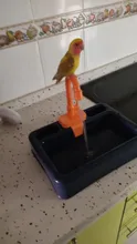 Alimentador de aves automático, bañera de loro, grifo de piscina, ducha de baño de loros, dispensador de agua, jaula de pájaro, baño, juguetes de loros
