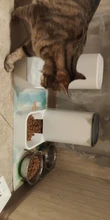 3.8L Large Capacity Pet Dog Cat Automatic Feeder Detachable Bowl Water Dispenser Food