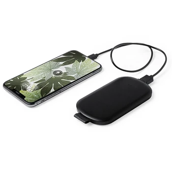 

Power Bank 2500 mAh 146149