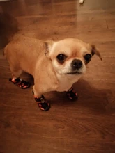 Boots Pet-Shoes Dog Large Waterproof Anti-Skid Small Winter Golden Warm Big 8-Sizes Wear-Resistant