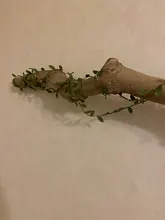 Tiny leaf garland fairy light decor LED Copper Wire string lights for Wedding forest