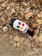 Costume Puppy-Clothes Love-Rainbow-Vest PETCIRCLE Pet-Cat Dog Winter New Fit And Four-Color