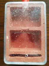 Mini nido de yeso para hormigas, nido plano, Red, hormiga, granja, Terrario de insectos