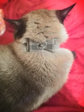Bowtie Cat Collar Charm Safety Break Away Nylon Necktie Collar for Cats Bell Leather