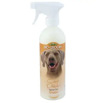 

Conditioner Coat Polish