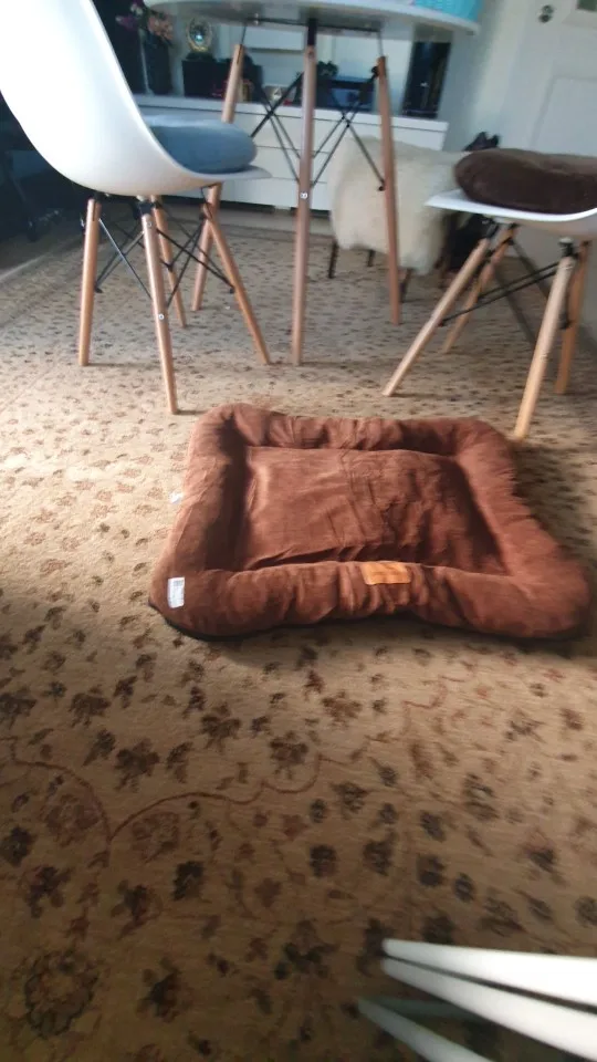 Removable and Washable Golden Retriever Dog Bed photo review
