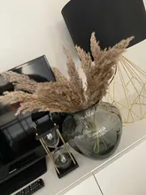 Pampas-Grass Reed Flower Wedding-Decoration Bunch Light-Color Natural Dried Christmas
