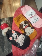 Coat Puppy Clothing Pet-Dog-Jacket Dogs Chihuahua Yorkshire Hoodies Outfit Small Winter