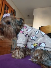 Ropa para mascotas, abrigo estampado bonito para perros pequeños, gatos, Chihuahua, Shih, Tzu, Primavera