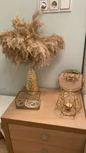 Dried-Plants Pampas-Grass Wedding-Flower Bunch Raw-Color Natural Phragmites 20pcs Communis