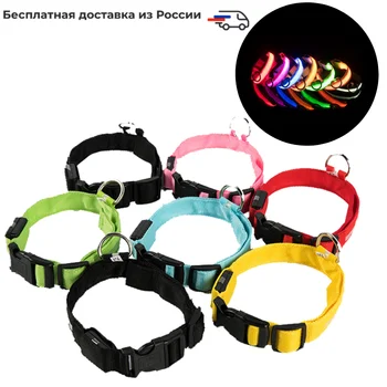 

USB Charging Led Dog Collar Anti-Lost/Avoid Car Accident Collar For Dogs Puppies Dog Collars Leads LED Supplies Pet Products