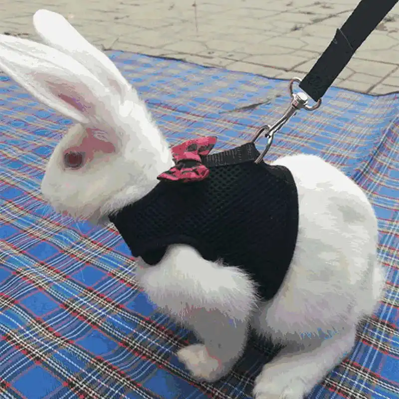 Small Animal Pet Mesh leash Harnesses Cute Accessories for Rabbit 1 Pcs - Color: Black