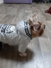 Jumpsuit Pet-Costumes Cotton-Padded Silver-Color Dogs Waterproof Winter Fashion for Hoodie