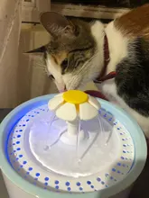 Dispenser-Container Fountain Cat-Bowl Water-Level-Display Electric-Water-Feeder Dogs