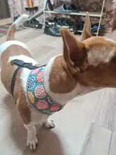 Nylon Dog Cat Harness Printed French Bulldog Harness Puppy Small Dogs Harnesses Vest