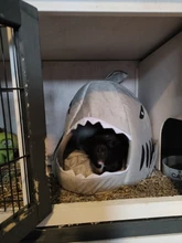 Bed Cage-House Hamster Hedgehog Rodents-Supply-Accessory Ferret Guinea-Pig Small Pet