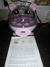 9-Eggs-Incubator Brooder Quail Chicken-Duck Manual Birds Mini Cute