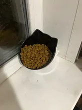 Cat-Bowls Products Pet-Food Raised-Stand Pet-Supplies Cats-Dogs-Feeders Non-Slip Double