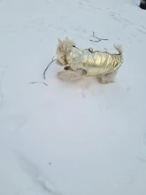 Ropa para perros grandes, chaleco impermeable para perros grandes, chaqueta de otoño e invierno, abrigo para perros cálidos, ropa para perros, Chihuahua Labrador S-7XL