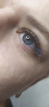 False-Lashes HBZGTLAD Curl 8-15mm Blue Yellow C/D Brand-New