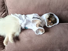 Bathrob Pet-Accessories Drying-Towel Dogs Puppy Soft Cat for Dog-Pajamas Indoor