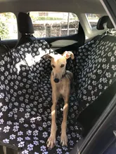 Portadores Del Perro Huella PERRERA CARAMELO Impermeable Trasero Hacia Atrás la Cubierta de Asiento de Coche Perro Esteras Hamaca Protector Con Cinturón de Seguridad D1010