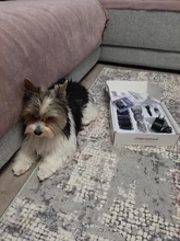 Dog Clipper Shaver-Machine Pet-Hair-Trimmer Grooming Electric Professional Rechargeable